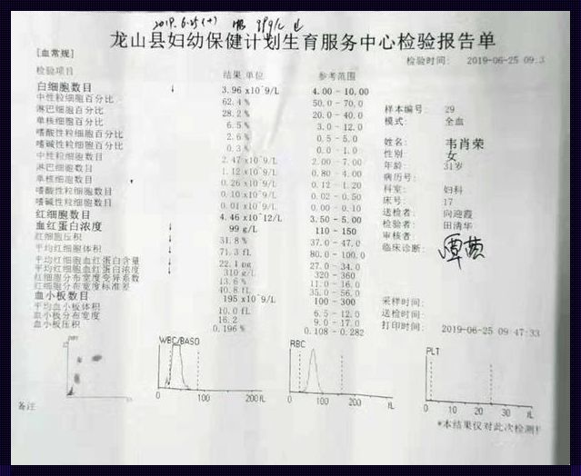 孕育之光：17周+4天的奇迹之旅