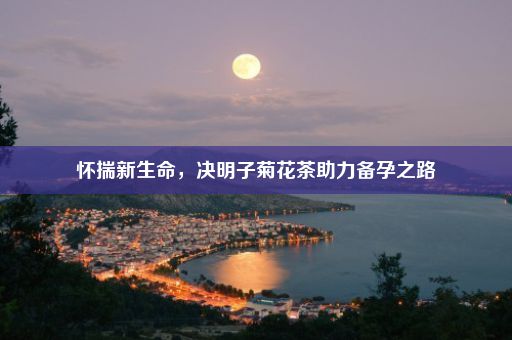 怀揣新生命，决明子菊花茶助力备孕之路