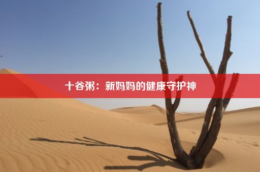 十谷粥：新妈妈的健康守护神