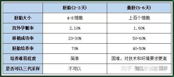 探秘囊胚成活率：究竟有多高？