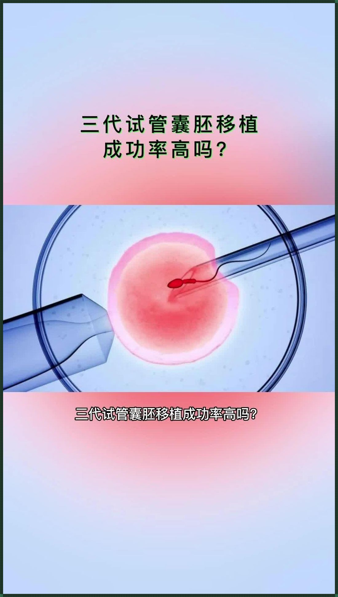 探秘囊胚成活率：究竟有多高？