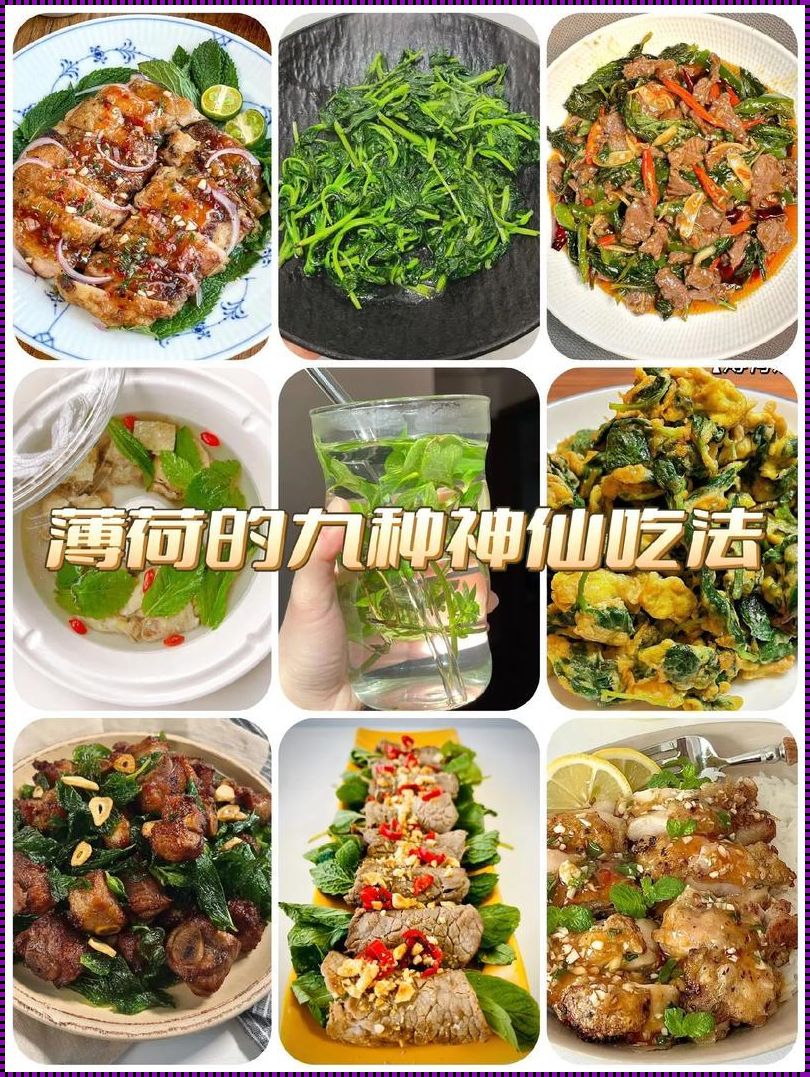 探寻神秘薄荷：产后恢复中的美食秘籍