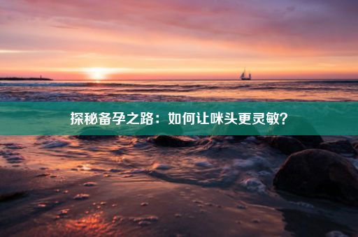 探秘备孕之路：如何让咪头更灵敏？