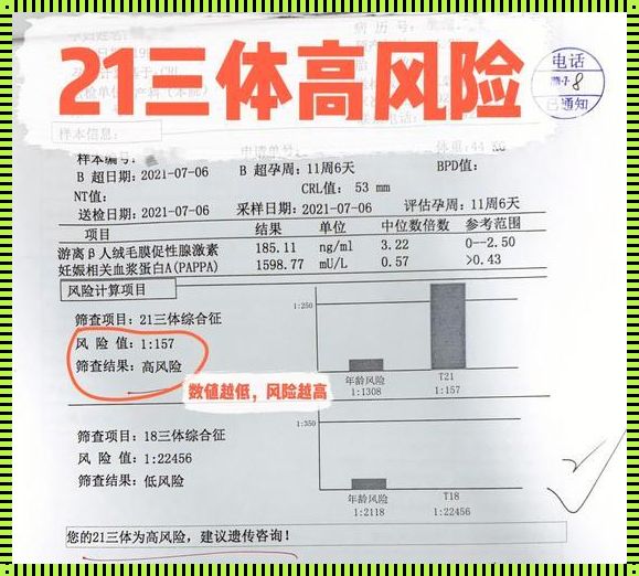 孕期中的“中筛21三体高风险”意味着什么？