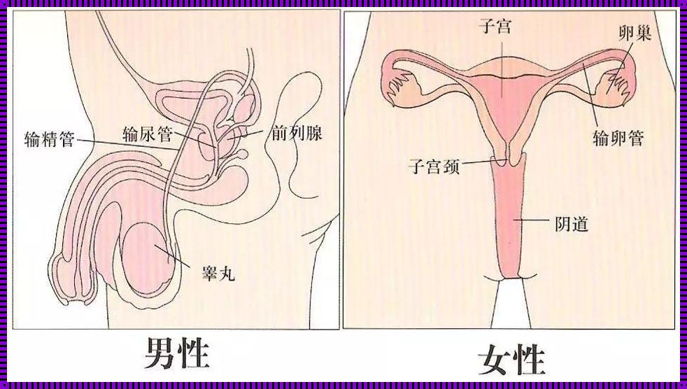 女性手淫怎么会引起尿道炎？