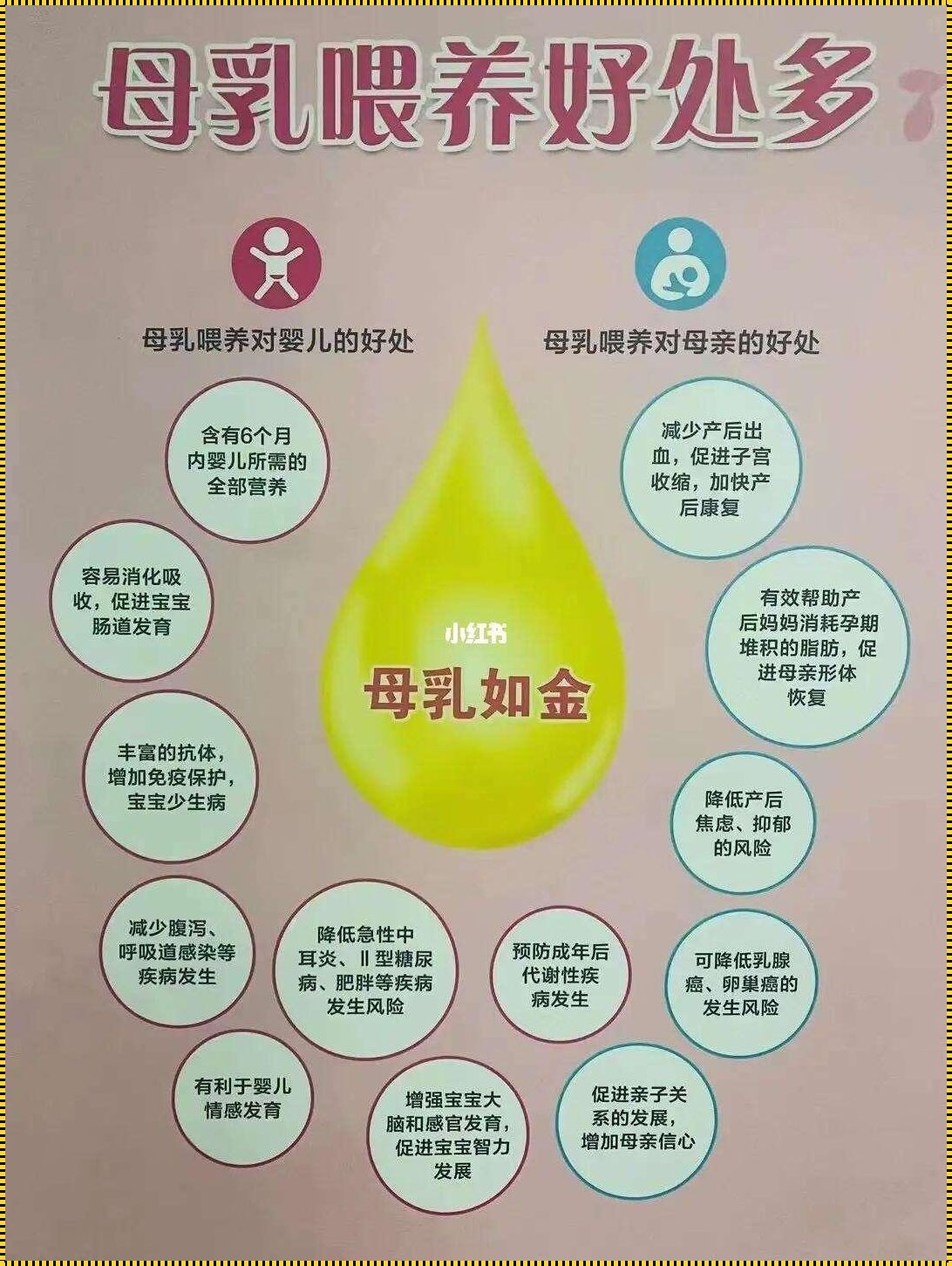 母乳的神奇魅力：备孕妈妈必须知道的作用与功效