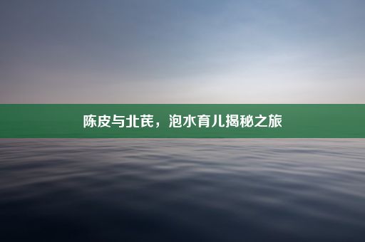 陈皮与北芪，泡水育儿揭秘之旅