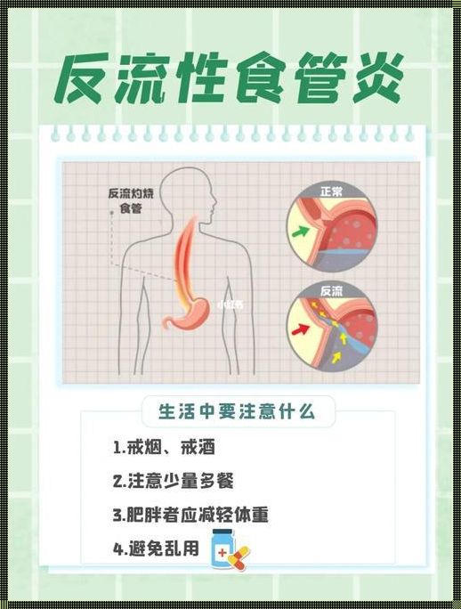 反流性食管炎吃饭应注意什么：健康饮食指南