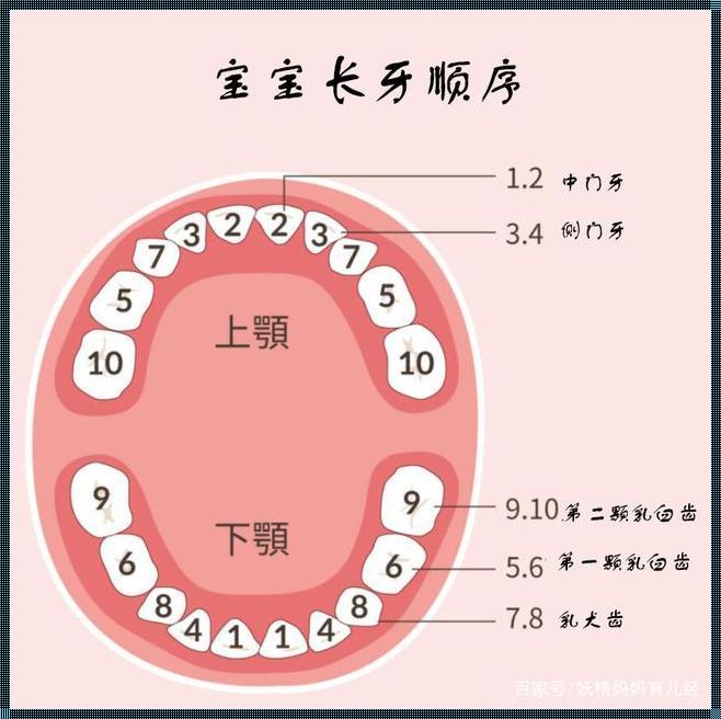 探究婴儿长牙的正常时间：育儿路上的小疑惑