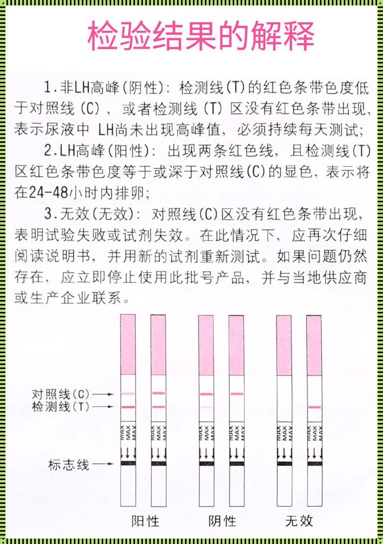 排卵试纸的价格揭秘：备孕路上的小助手