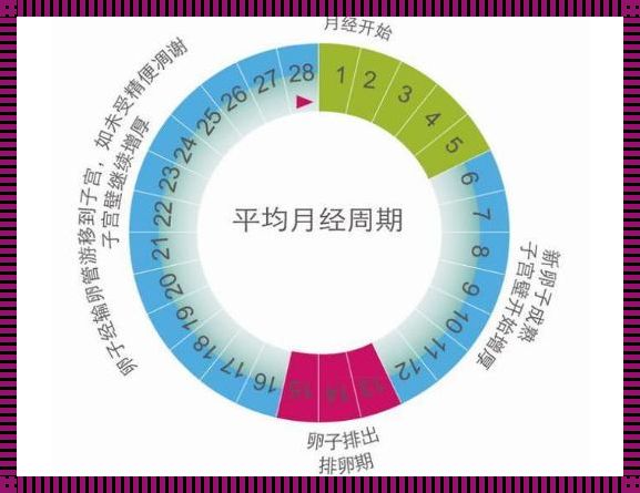 《宝宝成长记：三个月28天，揭秘“小小人”的大世界》