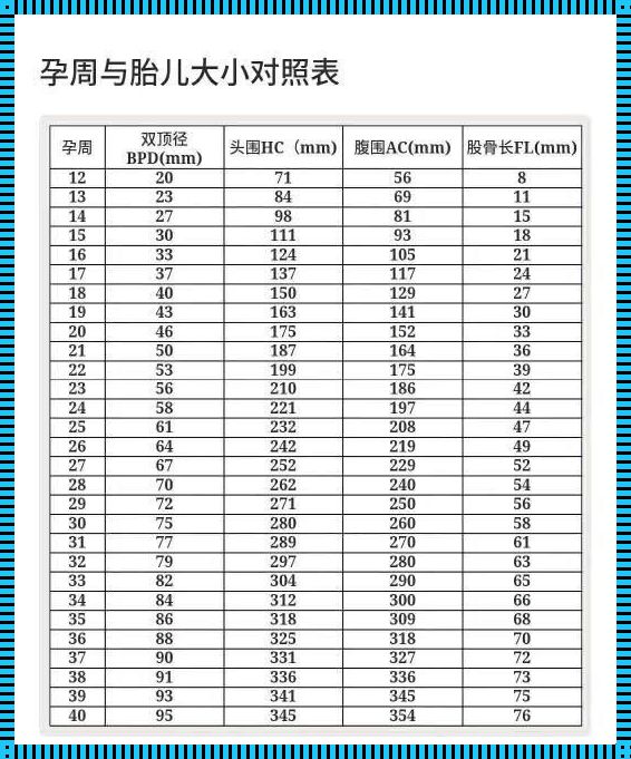 股骨长径与孕周对照表mm：育儿中的神秘数字解析