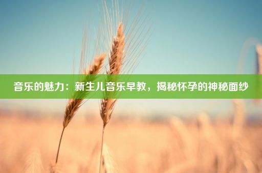 音乐的魅力：新生儿音乐早教，揭秘怀孕的神秘面纱