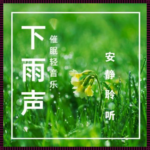 【深度体验】30分钟催眠曲下雨声，带你进入极致放松之旅