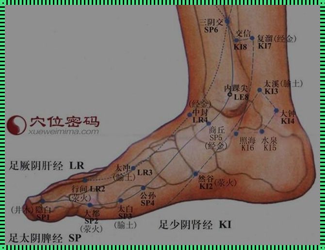 太溪是肾经最怕一个：人体的秘密通道