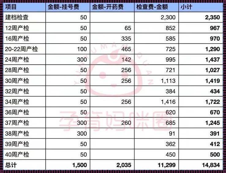 10个月产检总共多少钱：一场孕育生命的“投资”之旅