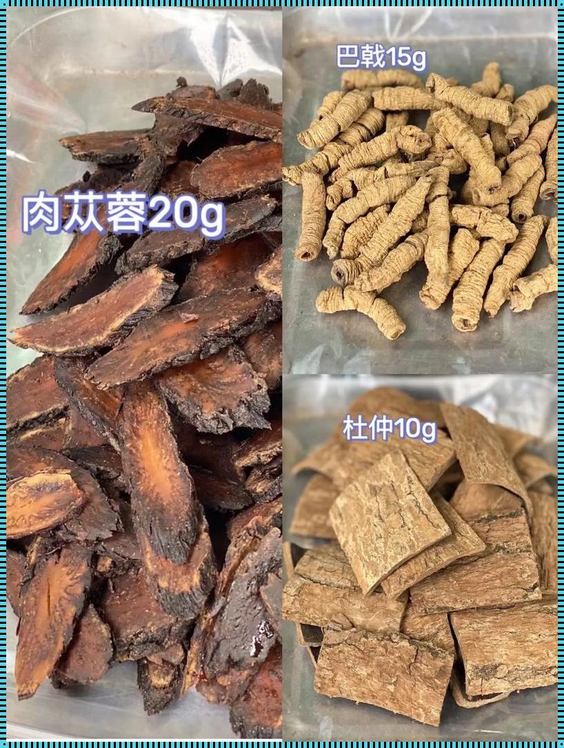 杜仲炖猪腰的危害：一个调皮的健康小提示