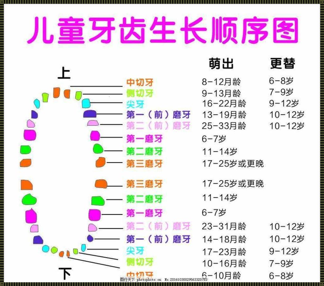 儿童乳牙换完，神秘大揭秘！