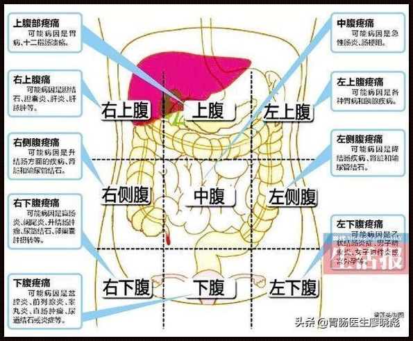 女人小腹左边最底下疼