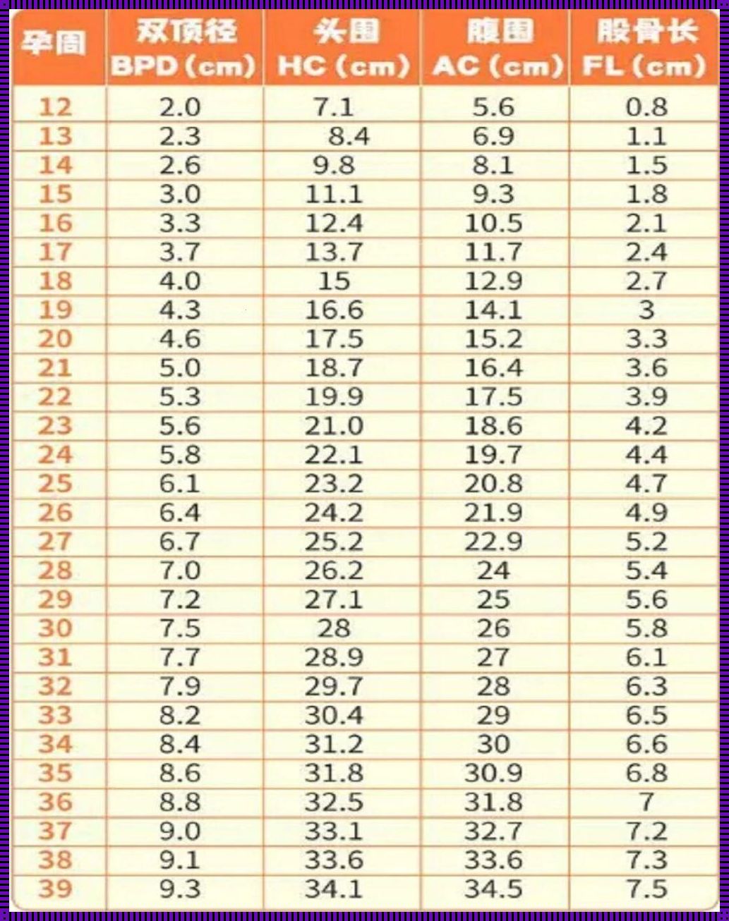 「胎儿股骨长，揭秘成长的小秘密」