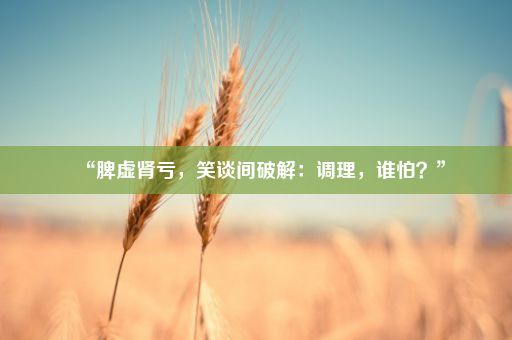 “脾虚肾亏，笑谈间破解：调理，谁怕？”