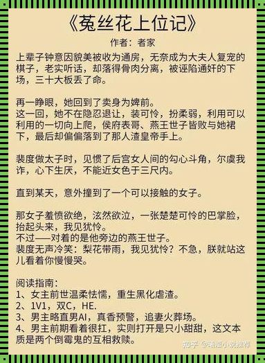 【夜猫子专属】月黑风高，言情爽文正当道