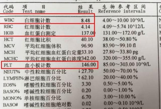 瞧你这“红白血”的把戏，谁才是造血界的“老司机”？