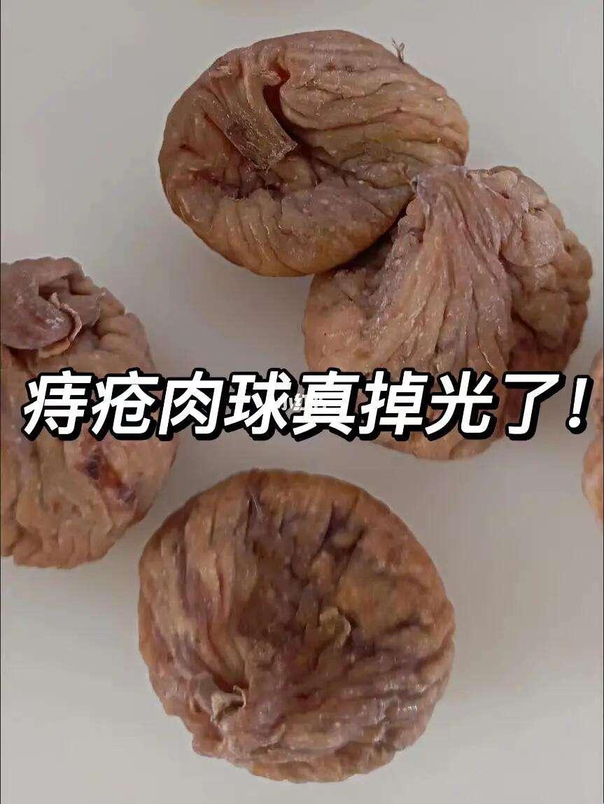 痔事连连，肉球流浪记