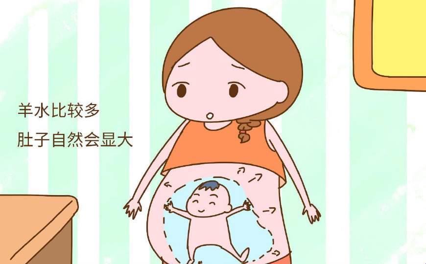 “七个月孕妇的‘奇妙冒险’：笑中带泪的‘妈咪进行曲’”