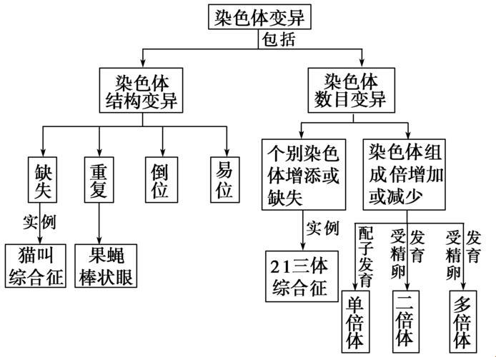 染色体变异，笑谈基因“疯狂”的后果！