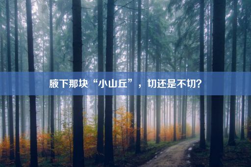 腋下那块“小山丘”，切还是不切？