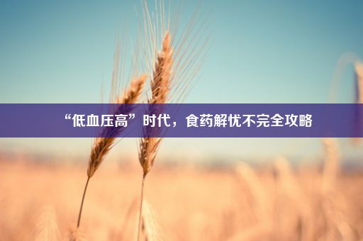 “低血压高”时代，食药解忧不完全攻略