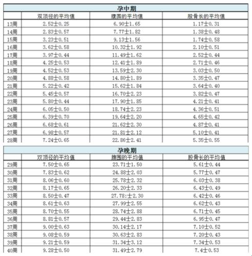 股骨长比例，性别密码大揭秘！