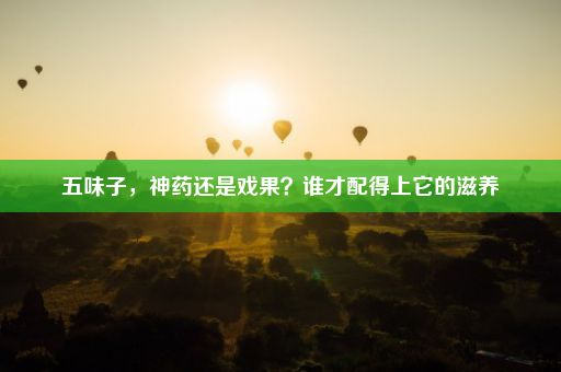 五味子，神药还是戏果？谁才配得上它的滋养