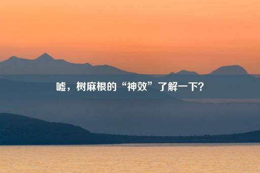 嘘，树麻根的“神效”了解一下？