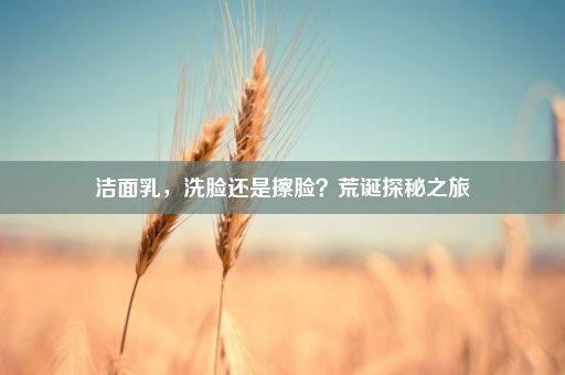 洁面乳，洗脸还是擦脸？荒诞探秘之旅