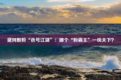 黛珂散粉“色号江湖”：哪个“粉霸王”一统天下？