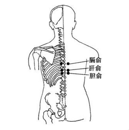 《胆经上的谜团，我来“捅捅”明白》