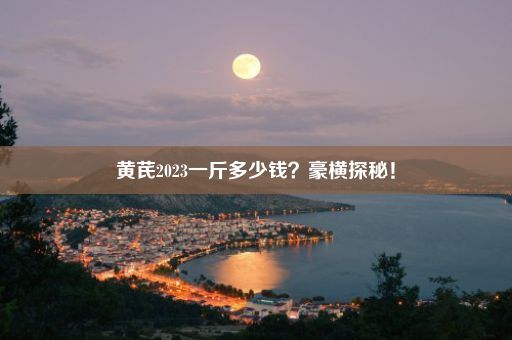 黄芪2023一斤多少钱？豪横探秘！