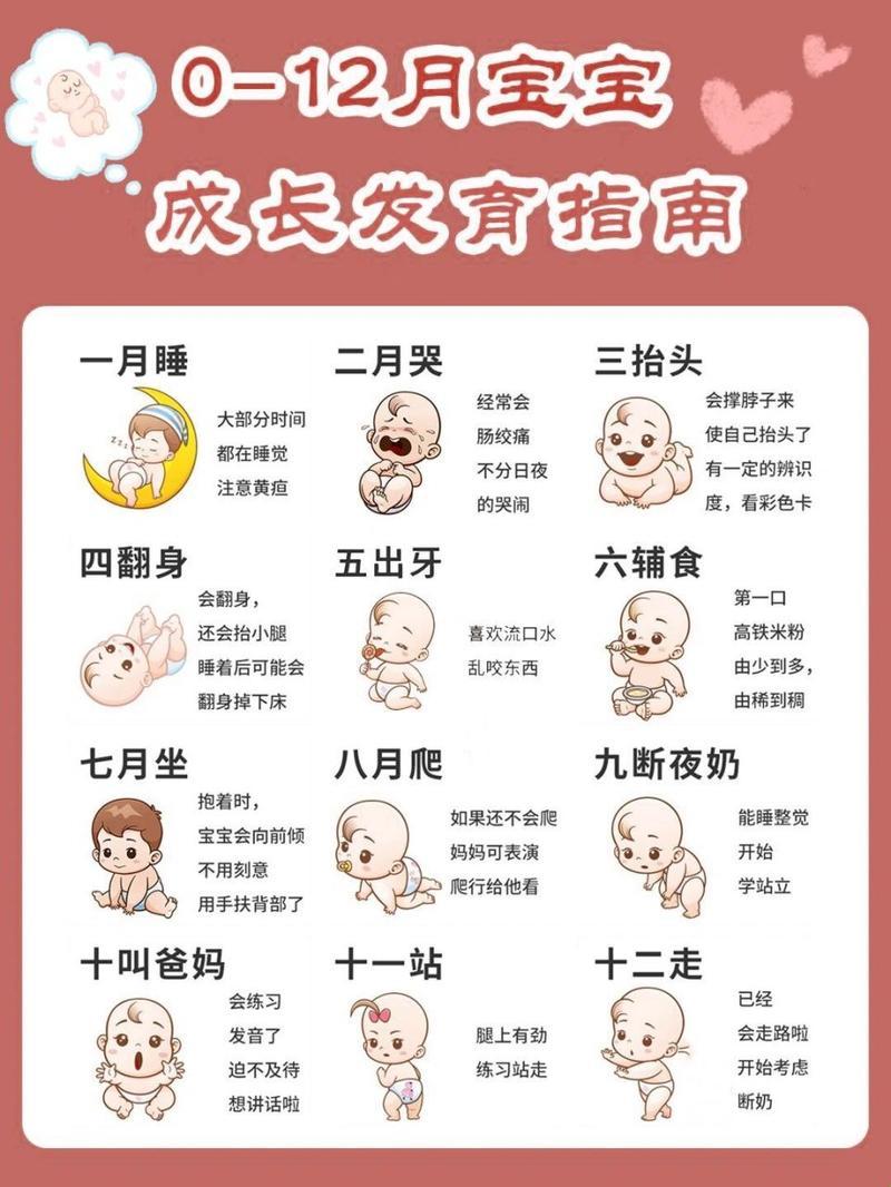 婴儿成长记：肉包子打狗，一去不回头