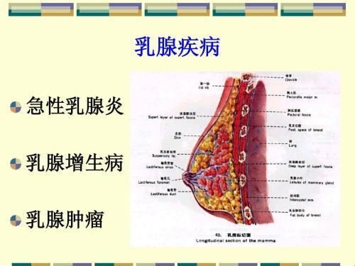 “乳”此多娇，七种疾病搞搞震