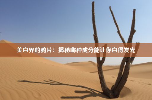 美白界的鸦片：揭秘哪种成分能让你白得发光