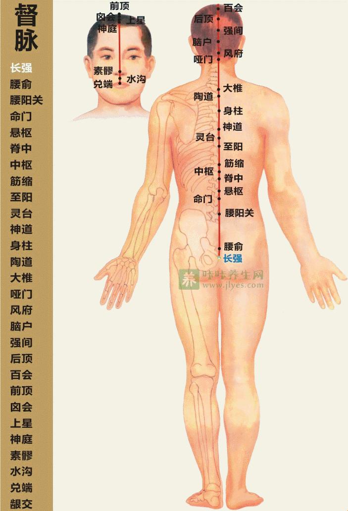 督脉示意图：嬉笑怒骂间的生命秘图