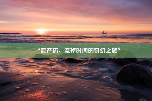 “流产药，流掉时间的奇幻之旅”