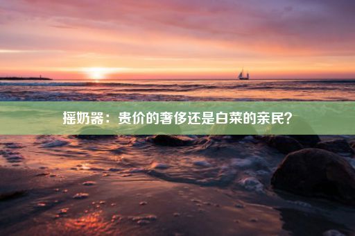 摇奶器：贵价的奢侈还是白菜的亲民？