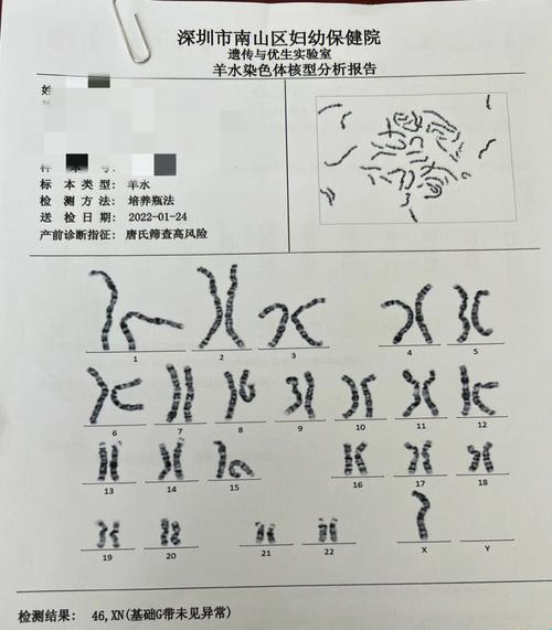 查询羊穿结果，笑谈风波中的智慧