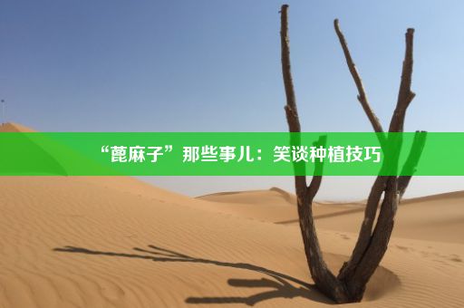 “蓖麻子”那些事儿：笑谈种植技巧