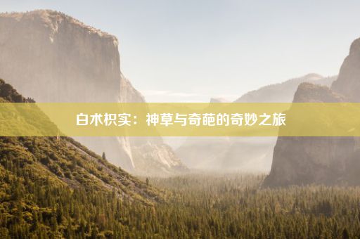 白术枳实：神草与奇葩的奇妙之旅