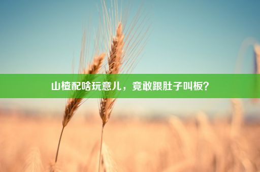 山楂配啥玩意儿，竟敢跟肚子叫板？