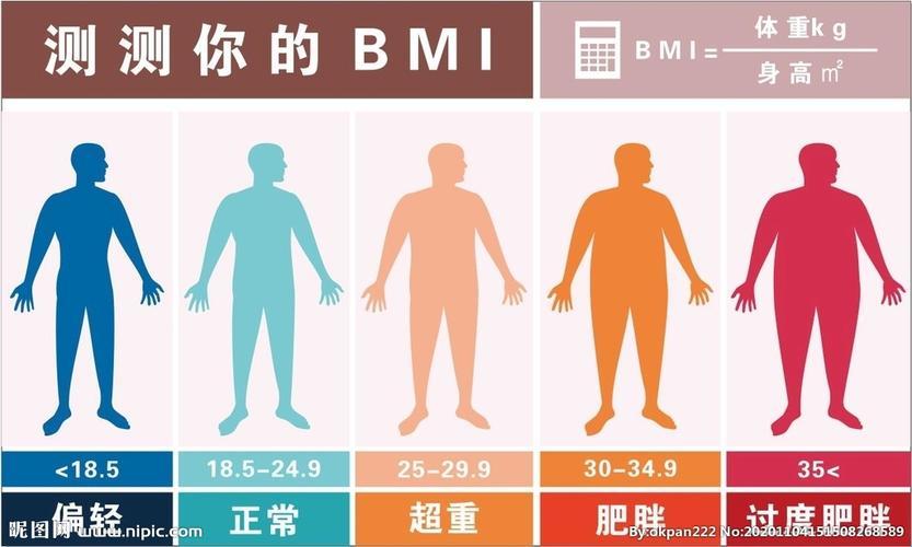 BMI，你这只肥鸟！